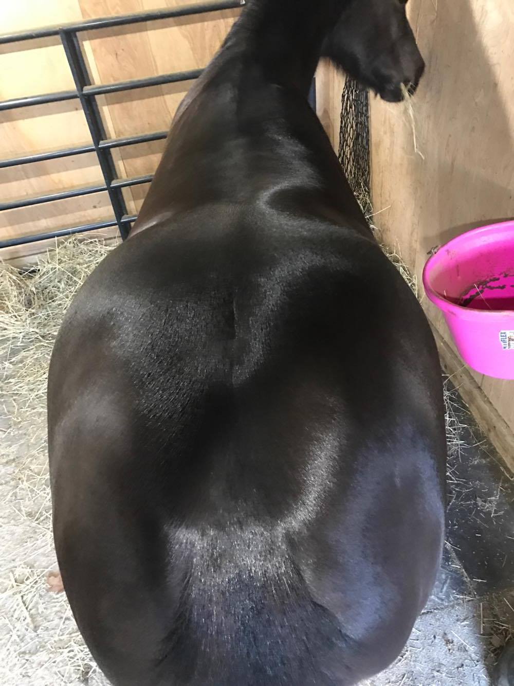 Mane-ly Long Buffer Brush