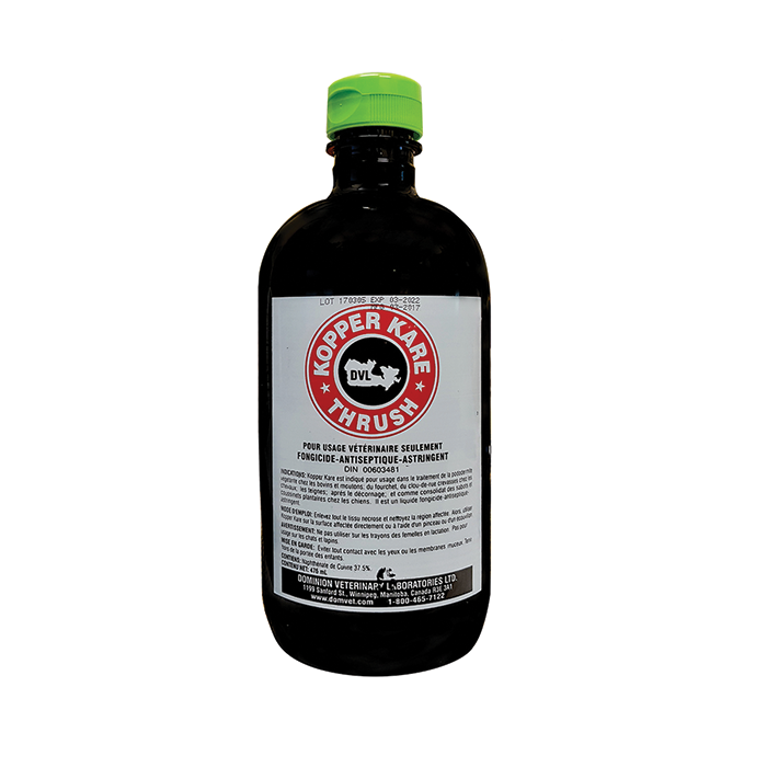 DOMINION VET LABS Kopper Kare 475mL