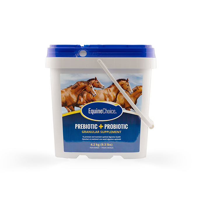 Equine Choice Pre & Probiotic Supplement