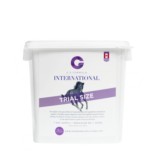 G's Formula International