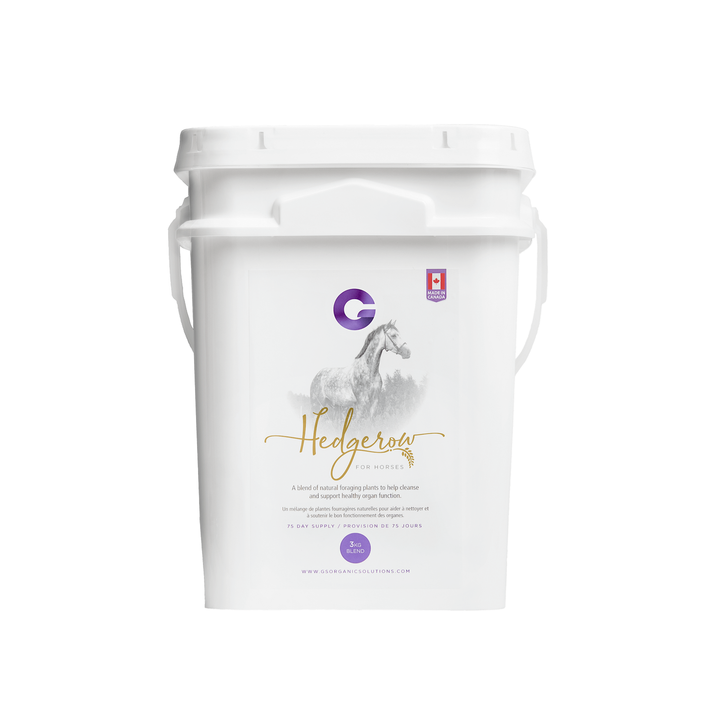 G's Hedgerow for Horses