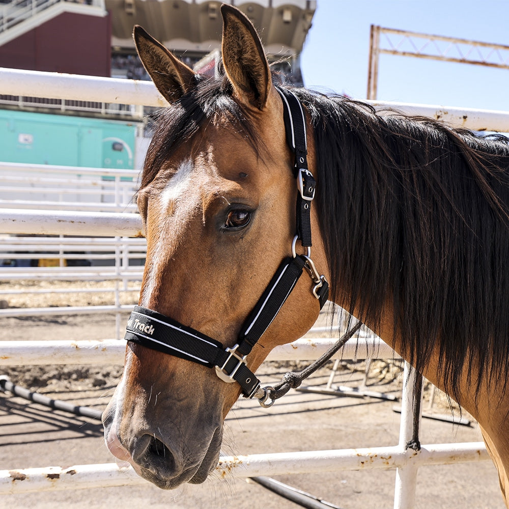 Back on Track® Werano Halter