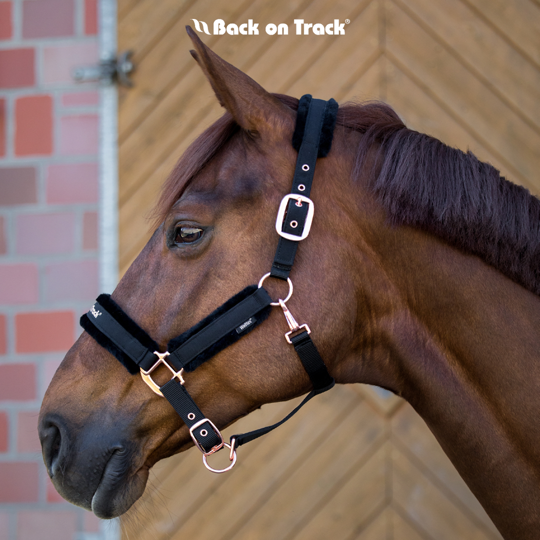 Back on Track® Haze Collection Halter