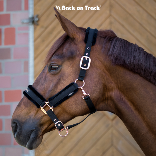 Back on Track® Haze Collection Halter