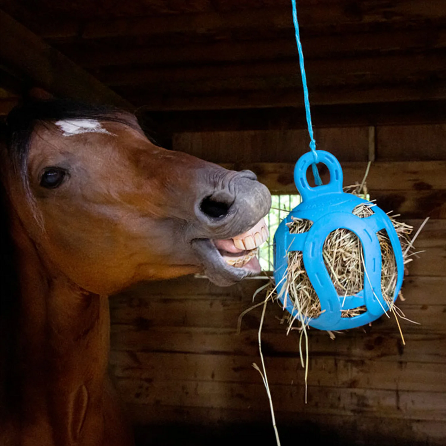 Horsemen's Pride JOLLY HAY BALL®