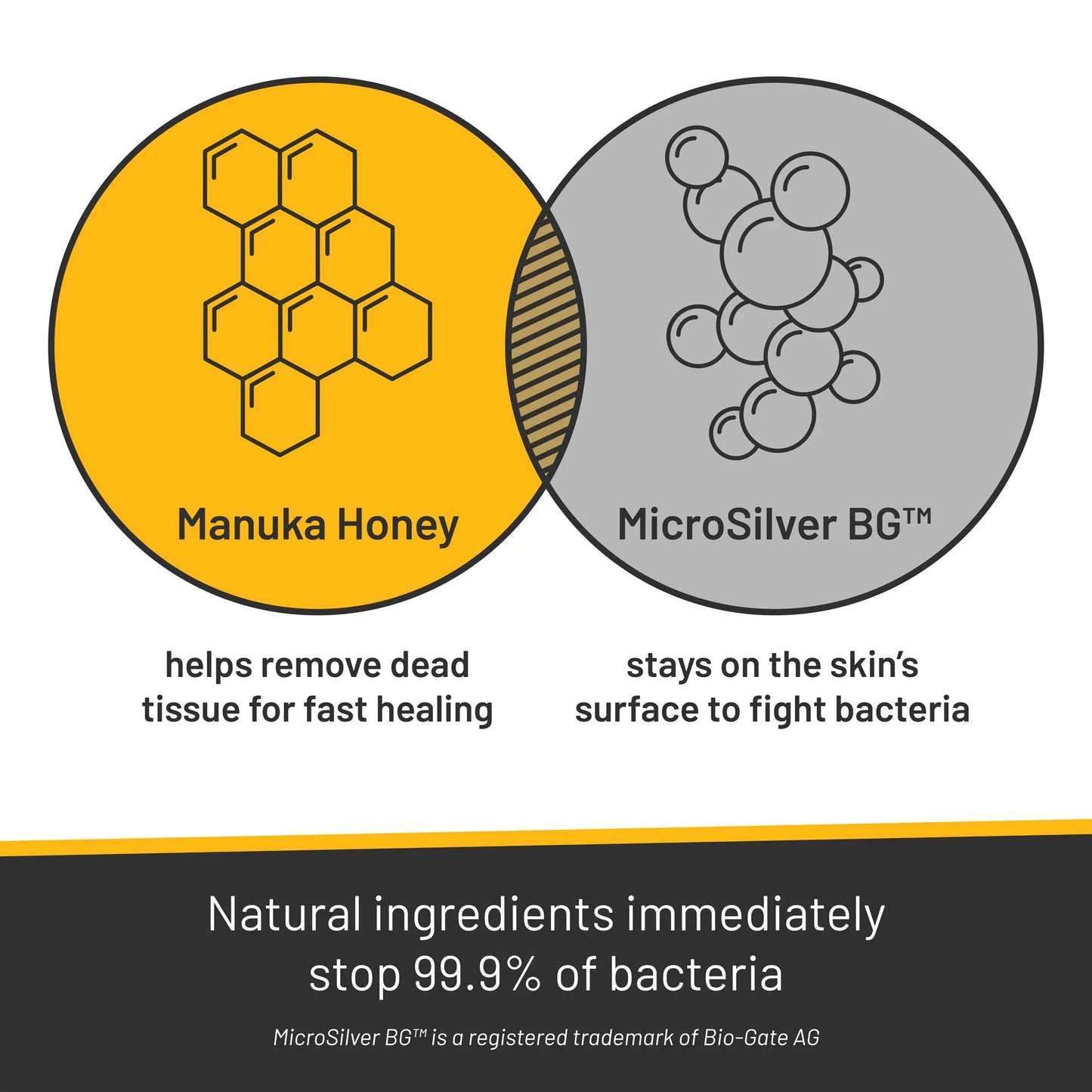 Silver Honey® Rapid Wound Repair