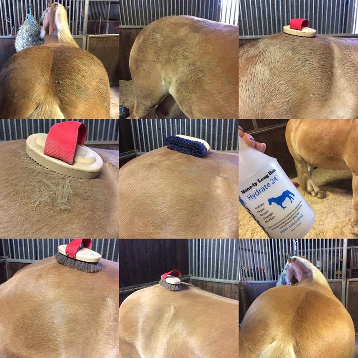 Mane-ly Long Buffer Brush