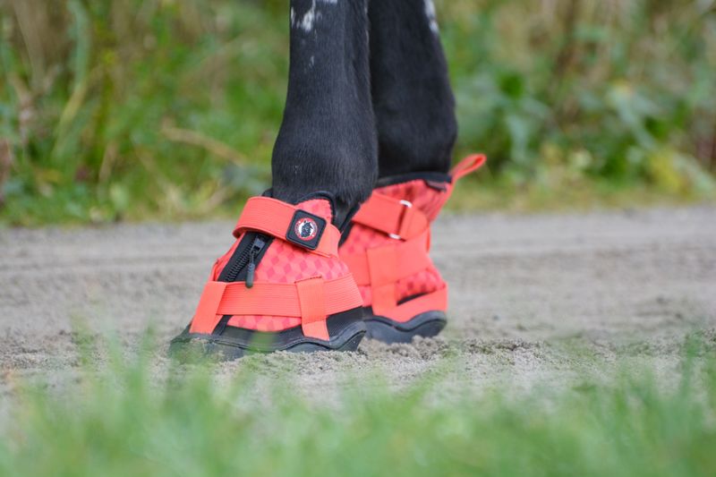 Equine Fusion Recovery Shoe 2.0
