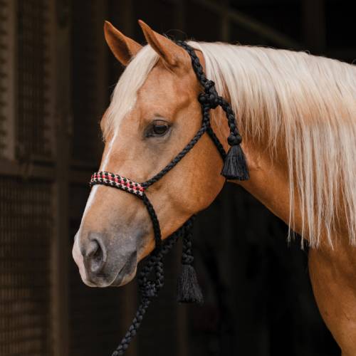 Professional's Choice Cowboy Braided Woven Halter