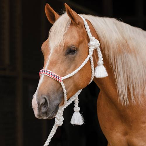 Professional's Choice Cowboy Braided Woven Halter