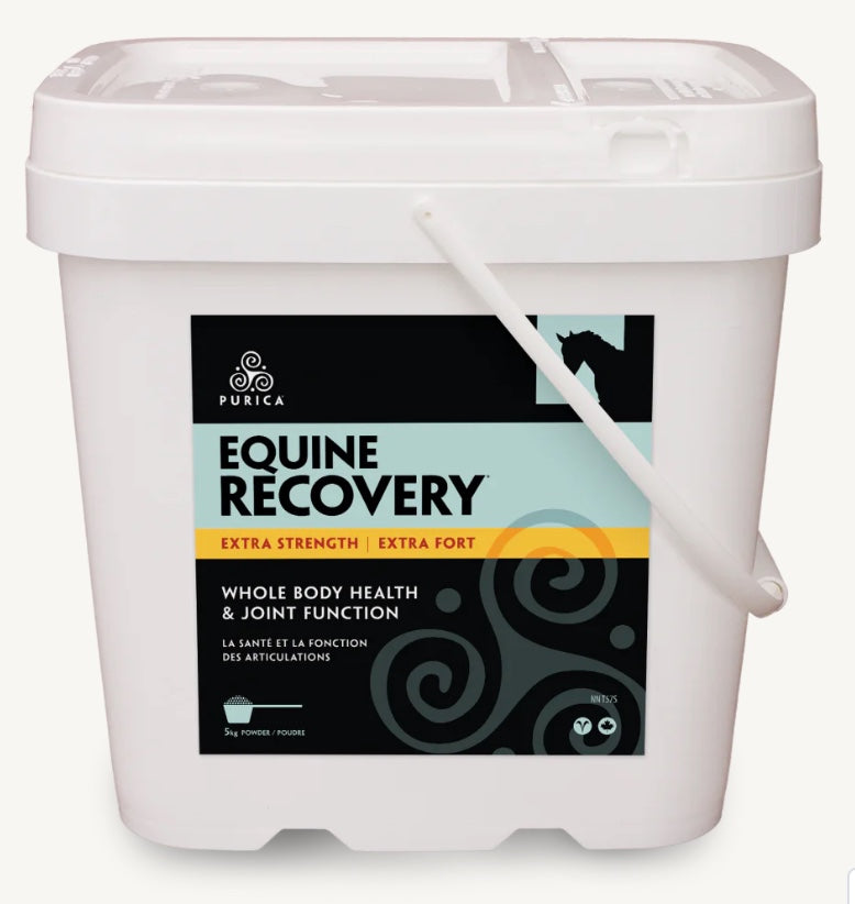 Purica Equine Recovery Extra Strength