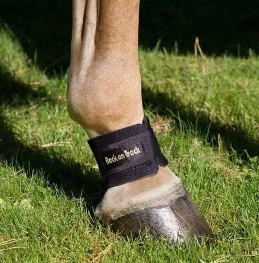 Back on Track® Pastern Wraps