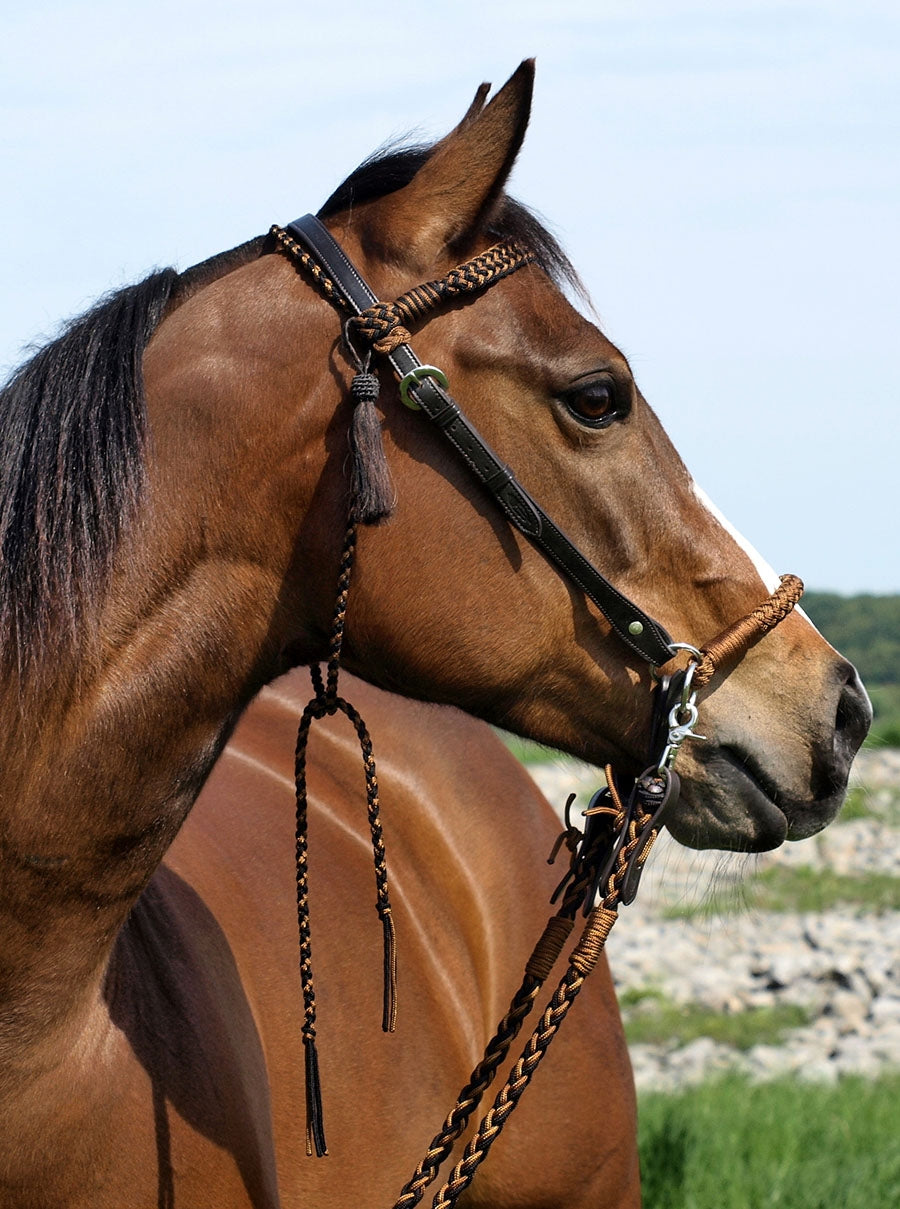 Barefoot® 'Amber' 2-in-1 Bitless Bridle