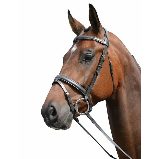 Kincade Padded Headpiece Flash Bridle