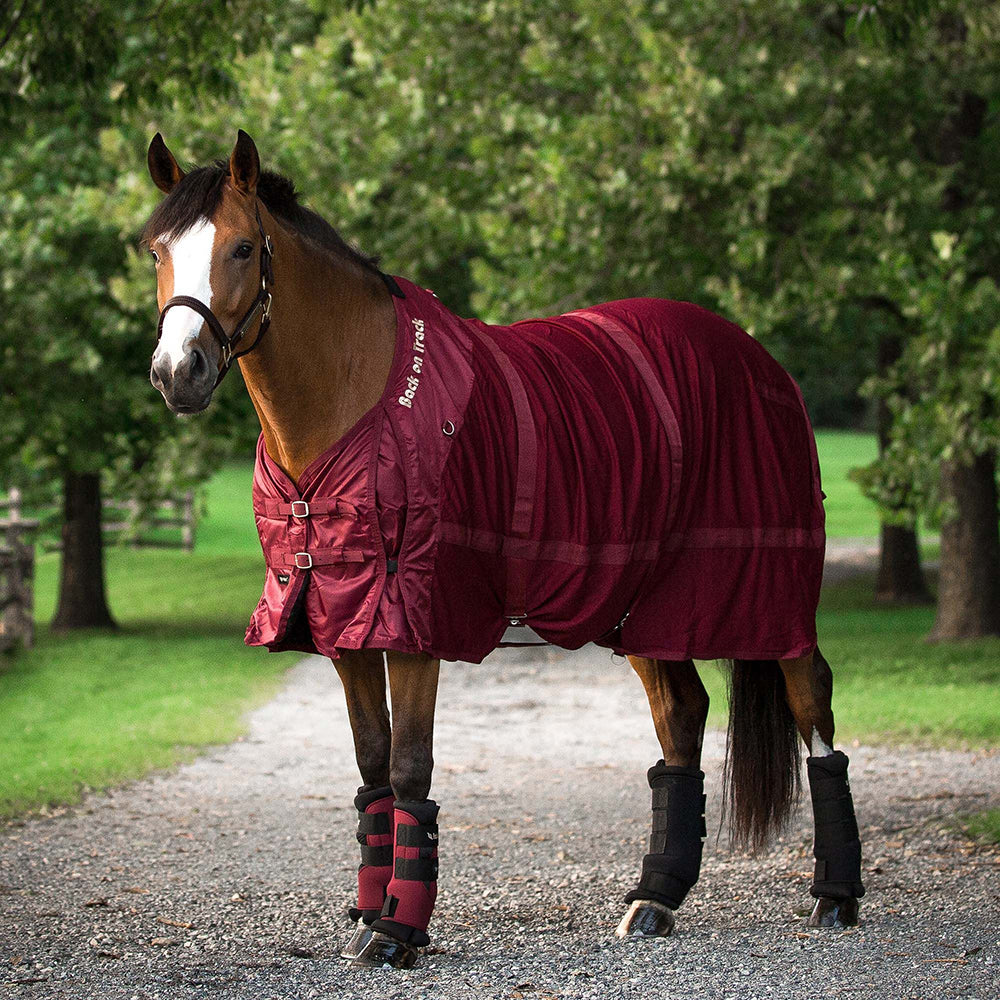 Back on Track® Deluxe Mesh Rug with Hood