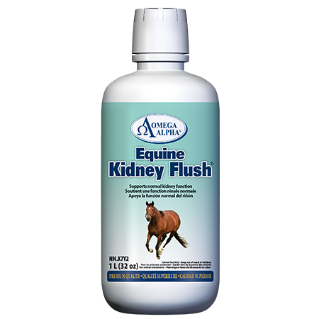 Omega Alpha Equine Kidney Flush®