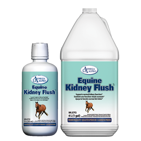 Omega Alpha Equine Kidney Flush®