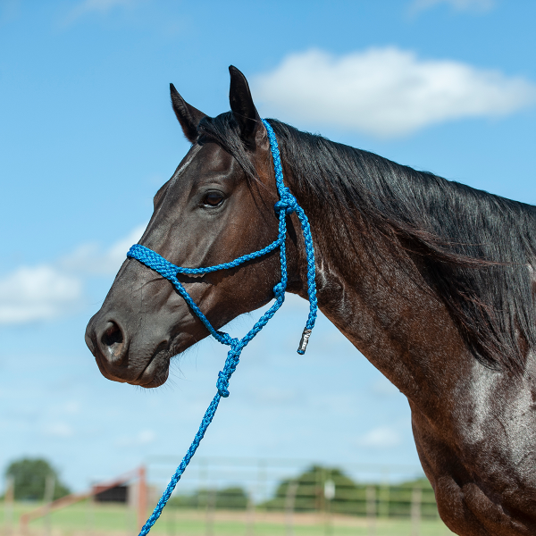 Cashel Flat Braid Halter with Lead Rope