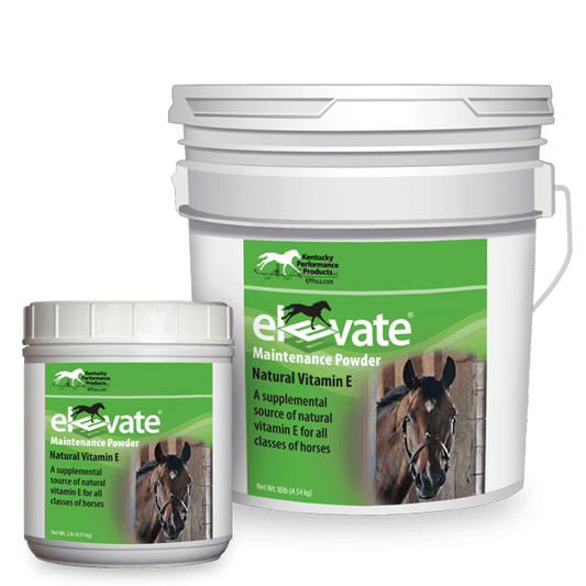 KPP Elevate® Maintenance Powder