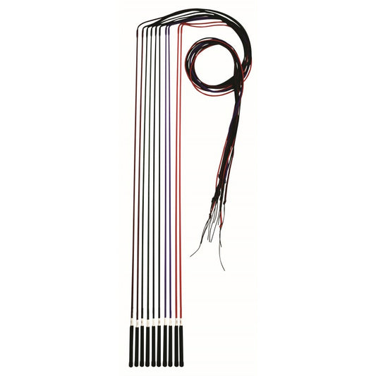Lunge Whip - 6ft