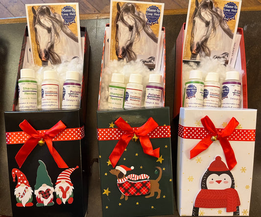 Mane-ly Long Stocking Stuffer Sample Pack!