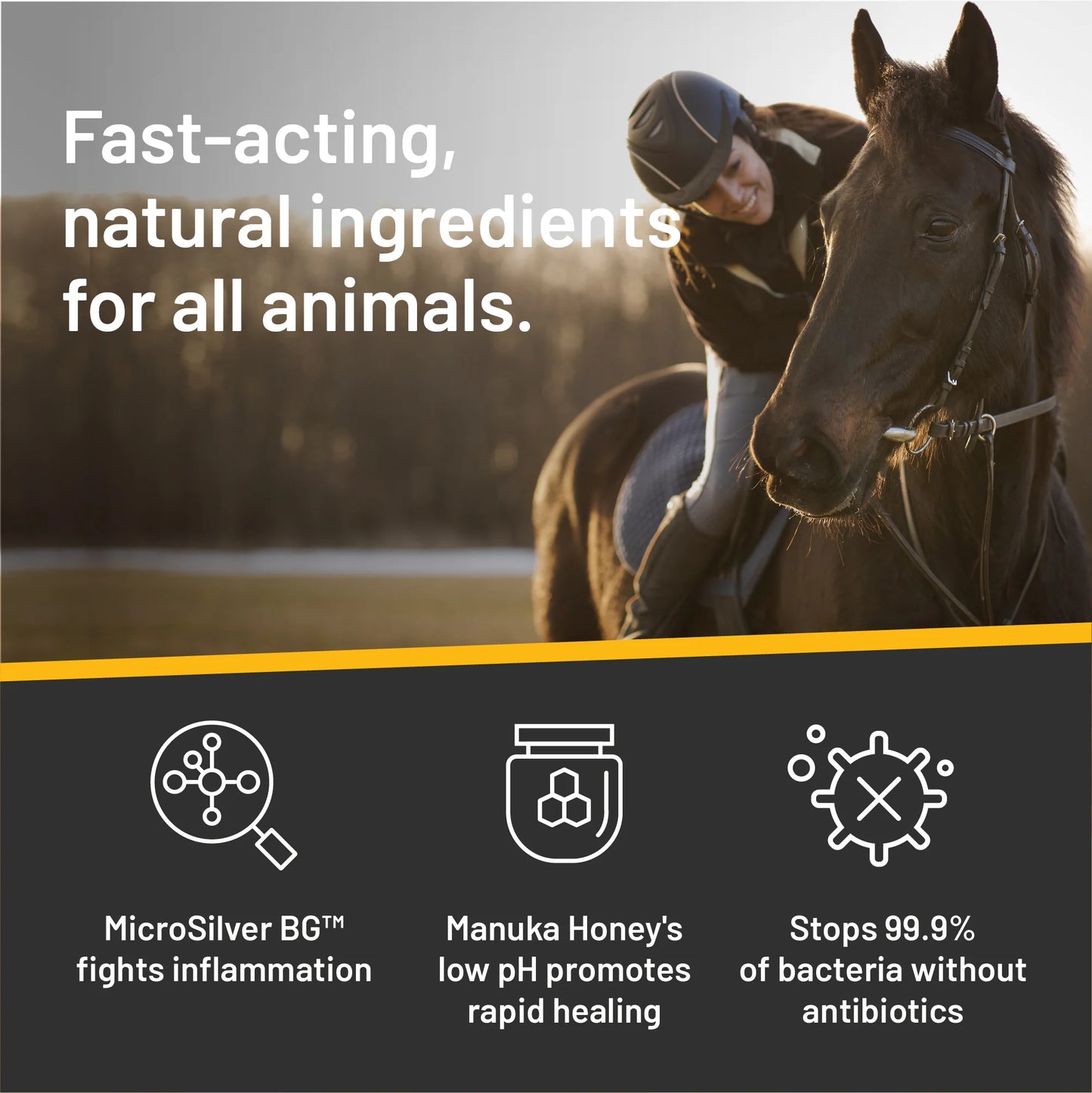 Silver Honey® Rapid Wound Repair