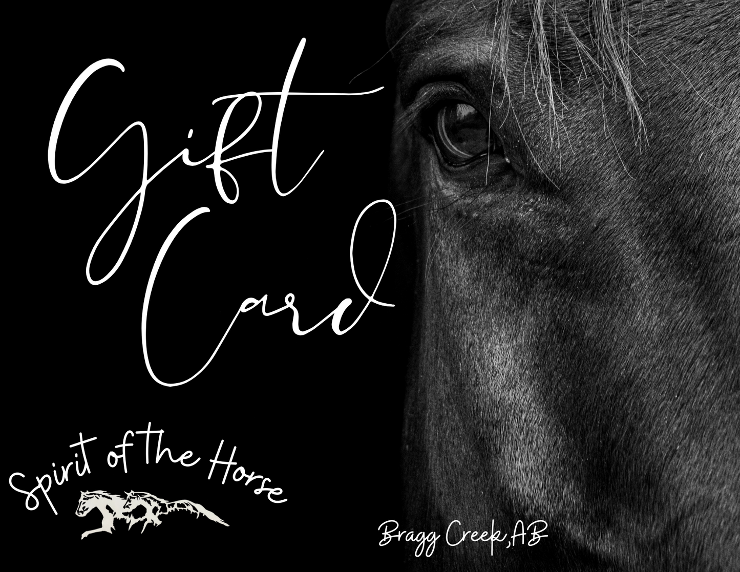 Spirit of the Horse Gift Cards