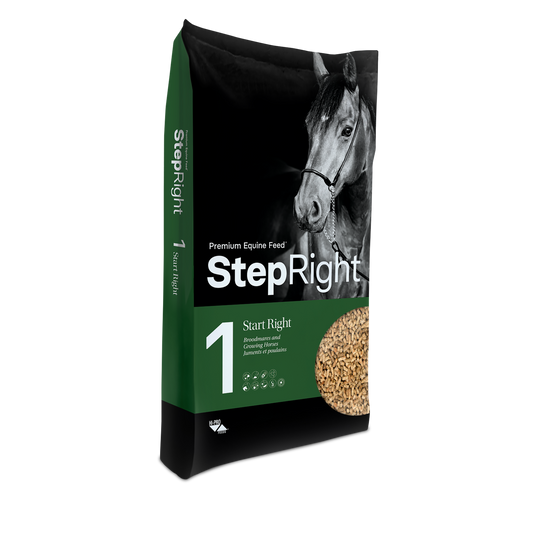 Step 1 Start Right