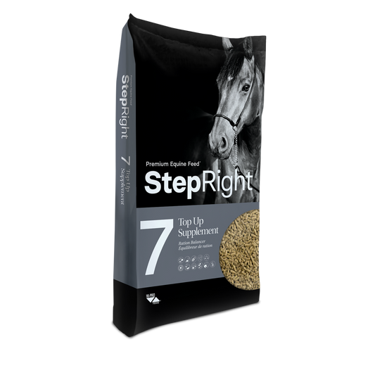 Step 7 - Top Up Supplement