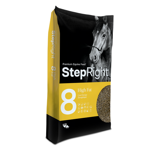Step 8 High Fat