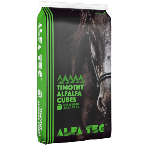 Alfa Tec Timothy Alfalfa Hay Cubes