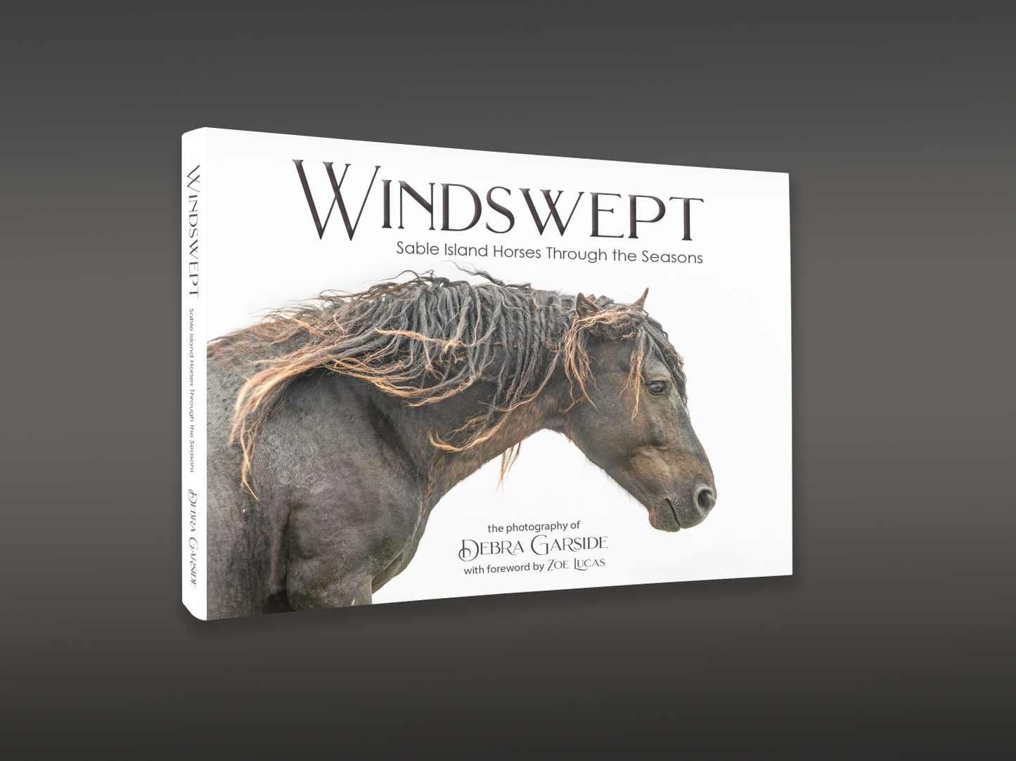 WINDSWEPT: Sable Island Horses Through the Seasons