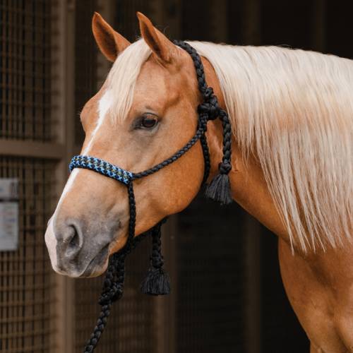 Professional's Choice Cowboy Braided Woven Halter
